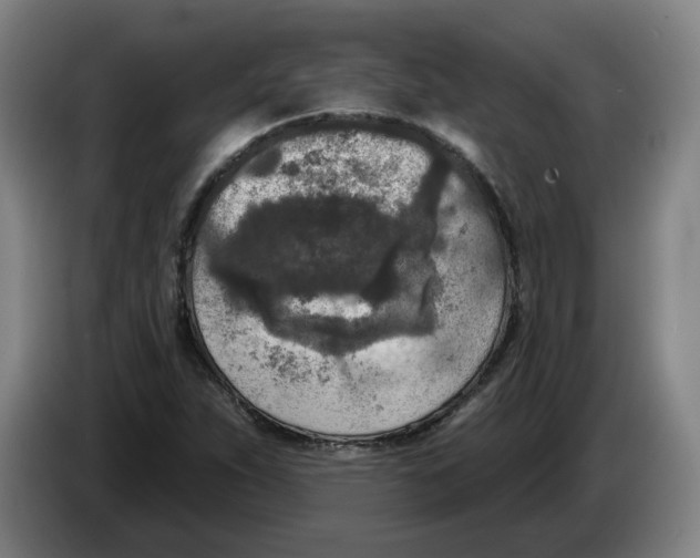 X0000086271263200704191917