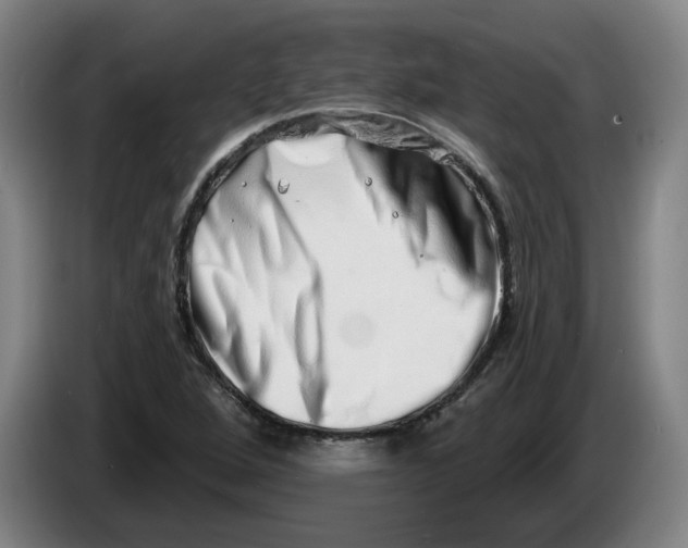 X0000086271264200704191917