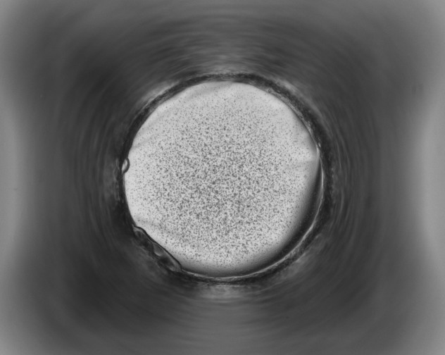 X0000086271265200704191917