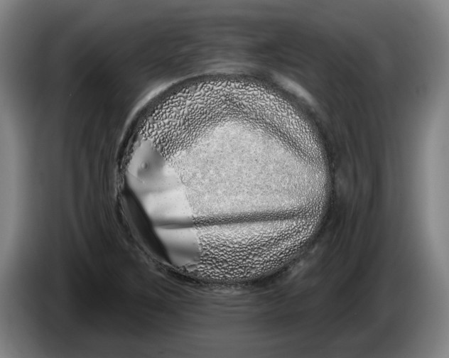 X0000086271267200704191917