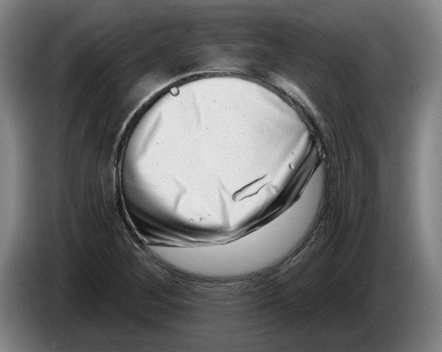 X0000086271268200704191917