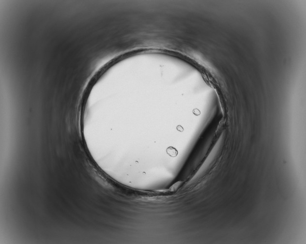 X0000086271272200704191917