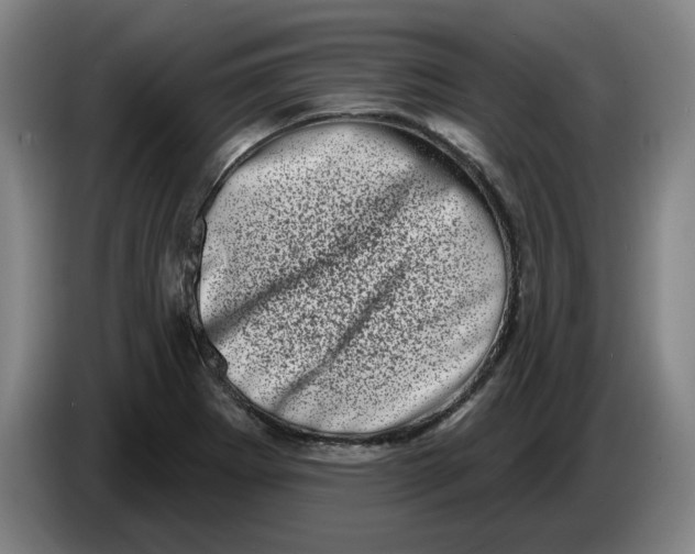 X0000086271273200704191917