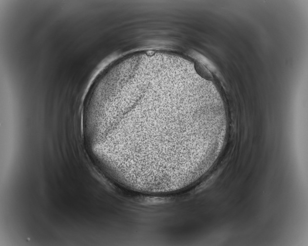 X0000086271275200704191917