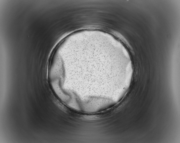 X0000086271276200704191917