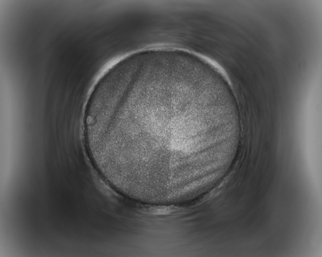 X0000086271279200704191917