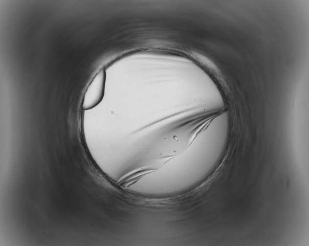 X0000086271280200704191917