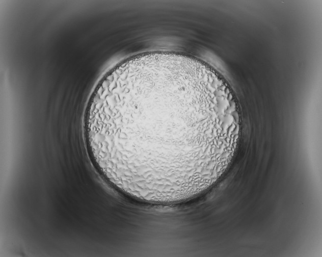 X0000086271283200704191917