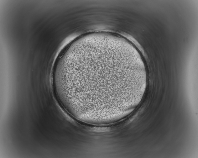 X0000086271285200704191917