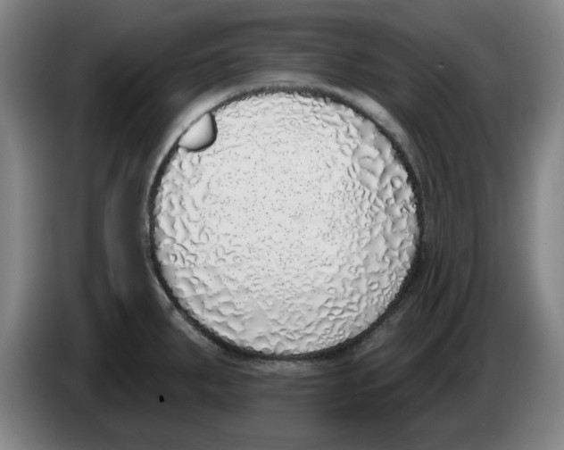 X0000086271287200704191917