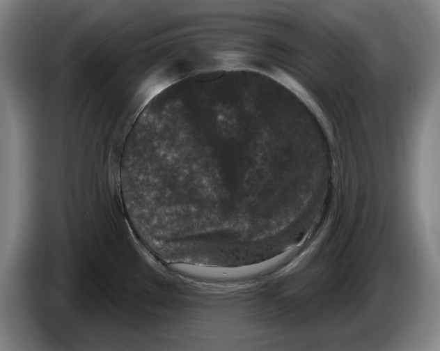 X0000086271289200704191917