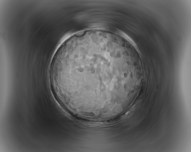 X0000086271291200704191917