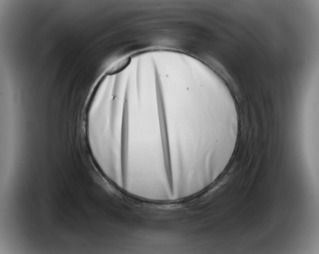 X0000086271292200704191917