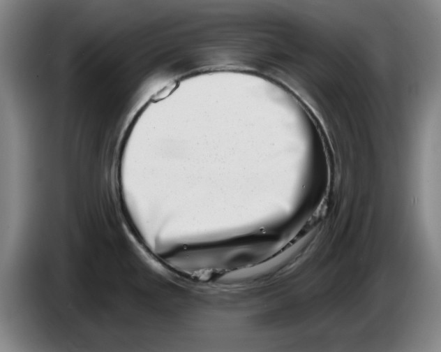 X0000086271293200704191917