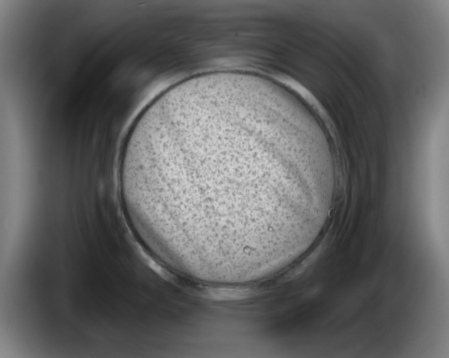 X0000086271294200704191917