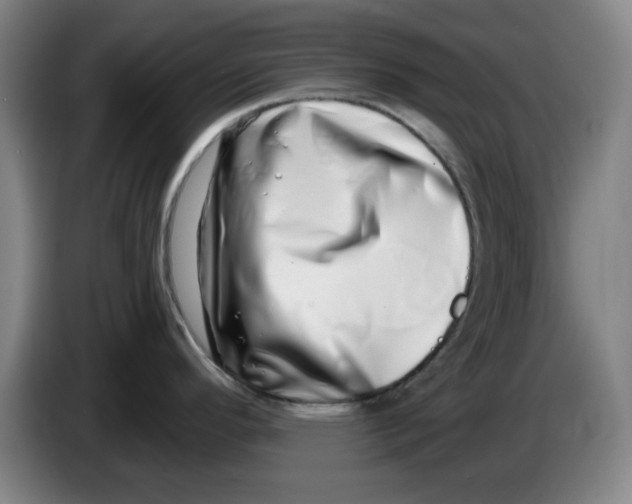 X0000086271296200704191917