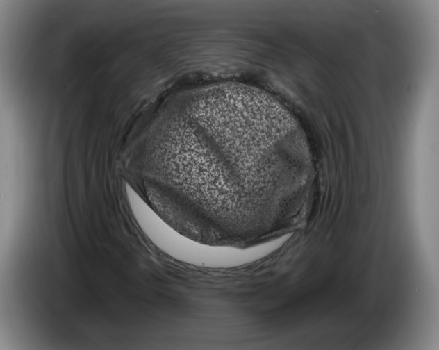 X0000086271298200704191916