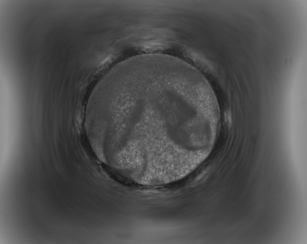 X0000086271300200704191916