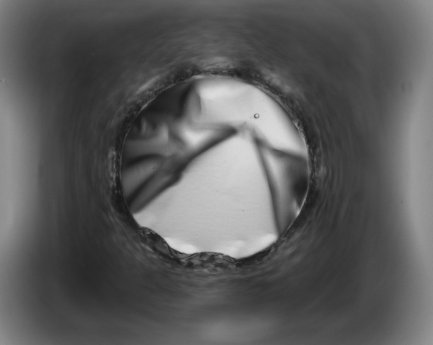 X0000086271301200704191916