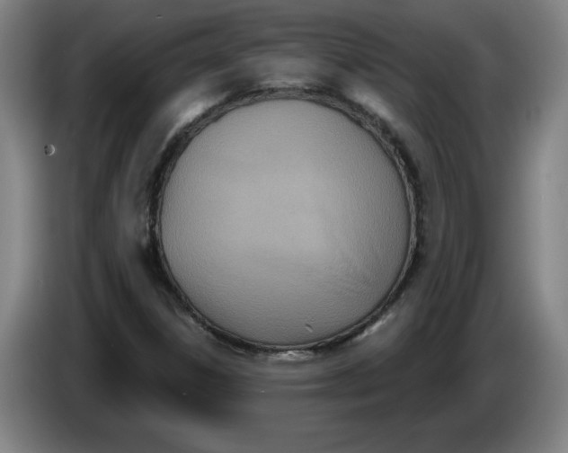 X0000086271306200704191916