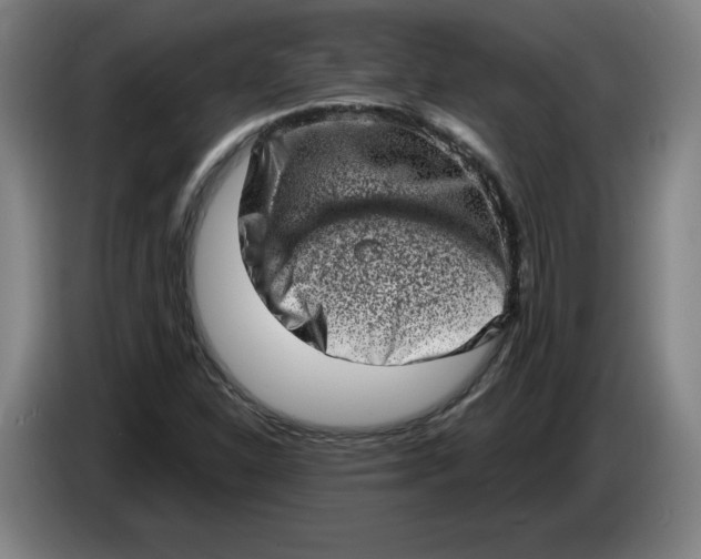 X0000086271310200704191916