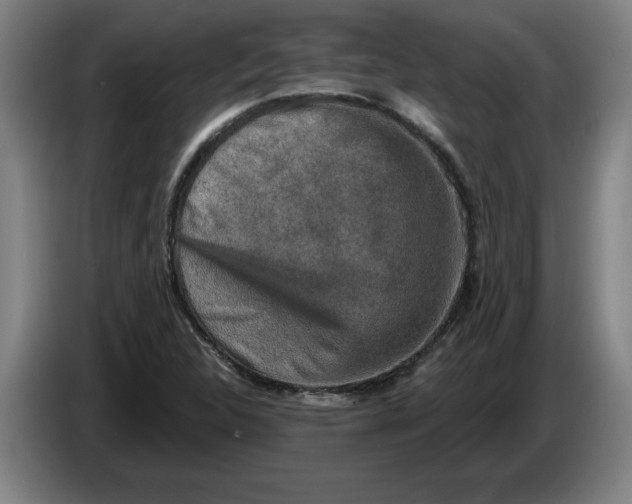 X0000086271312200704191916