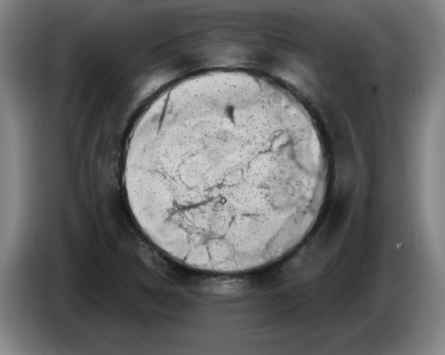 X0000086271314200704191916