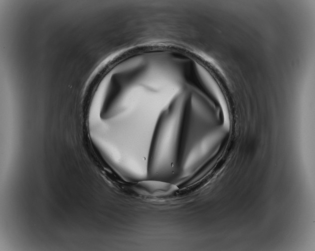 X0000086271319200704191916