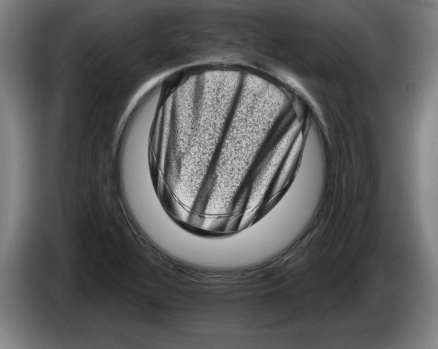 X0000086271320200704191916