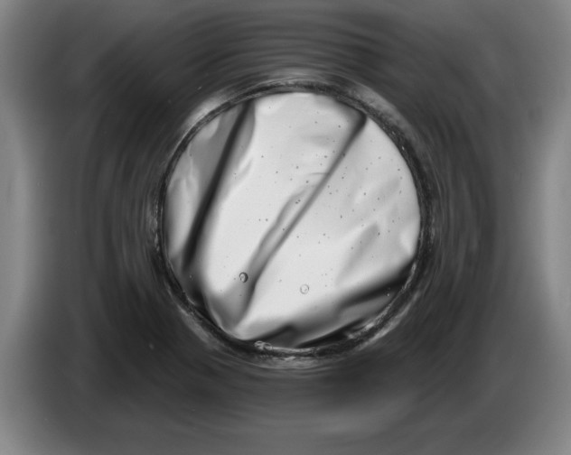 X0000086271321200704191916