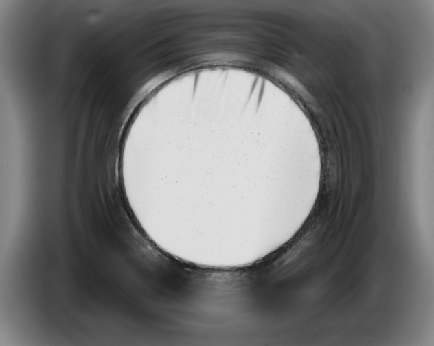 X0000086271322200704191916