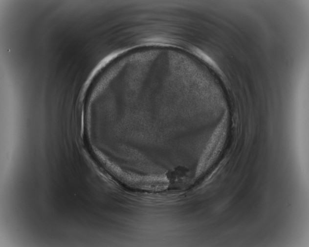 X0000086271323200704191916