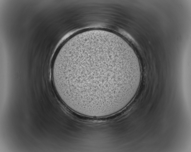 X0000086271324200704191916