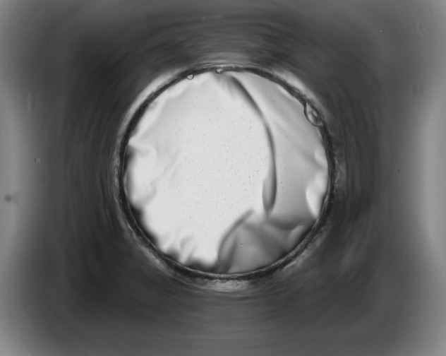 X0000086271325200704191916