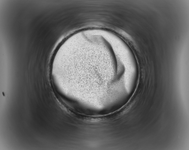 X0000086271326200704191916