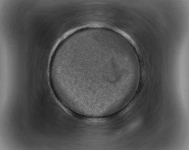 X0000086271327200704191916