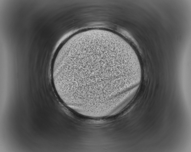 X0000086271328200704191916