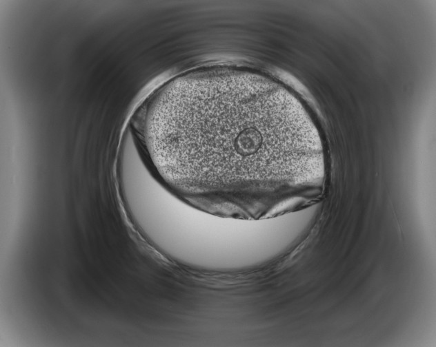 X0000086271330200704191916