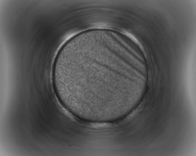 X0000086271331200704191916