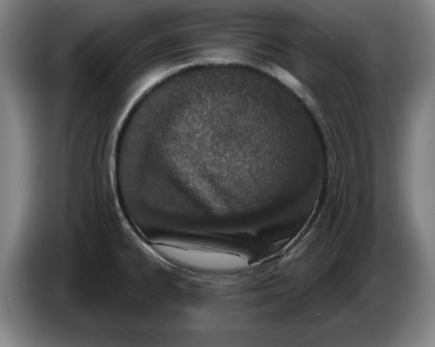 X0000086271334200704191917