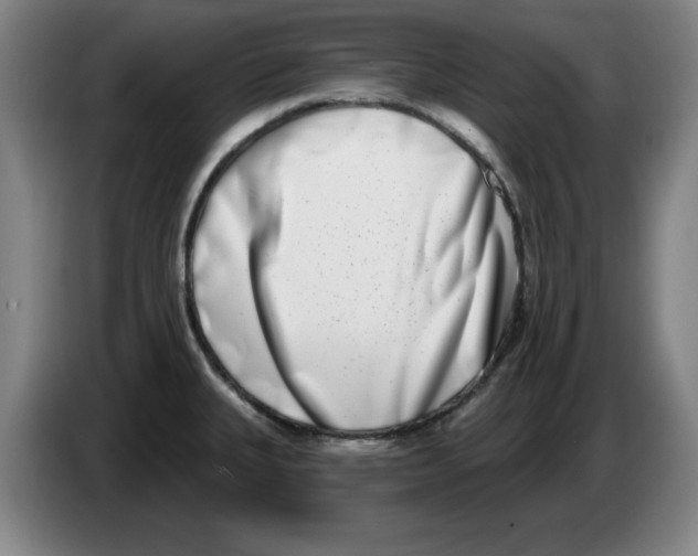 X0000086271335200704191917