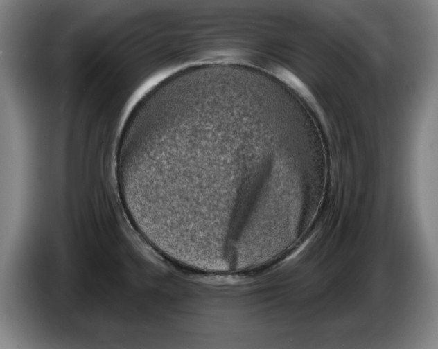 X0000086271336200704191917