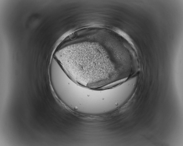 X0000086271338200704191917