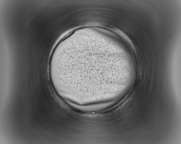 X0000086271340200704191917