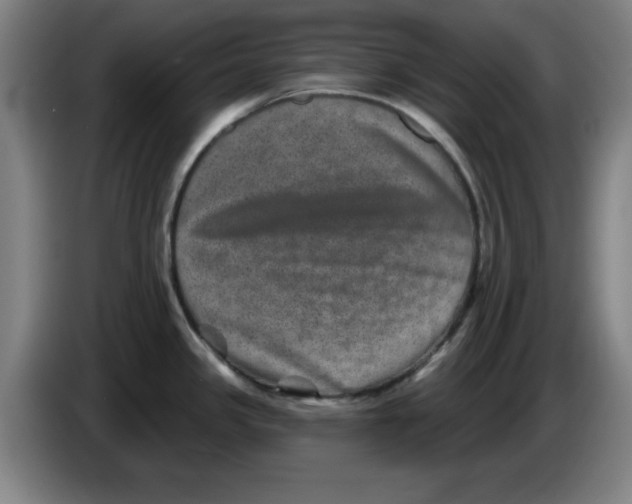 X0000086271341200704191917