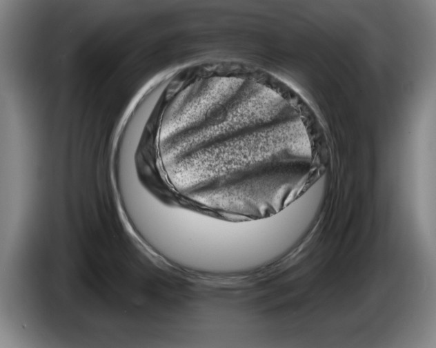 X0000086271342200704191917