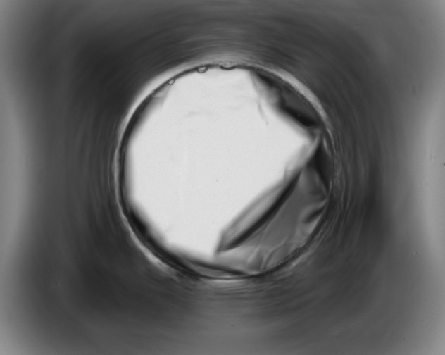 X0000086271343200704191917