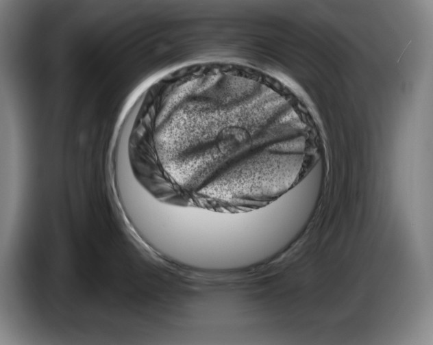 X0000086271344200704191917