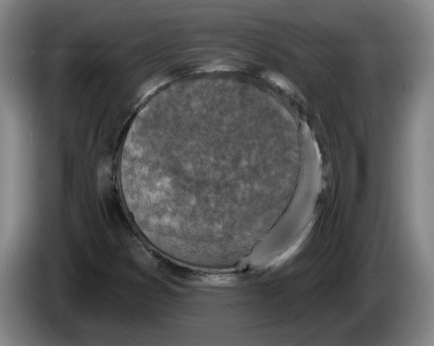 X0000086271353200704191916