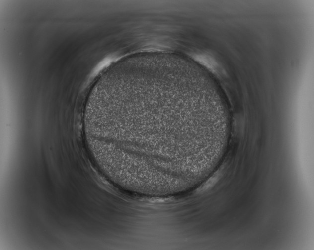 X0000086271355200704191916